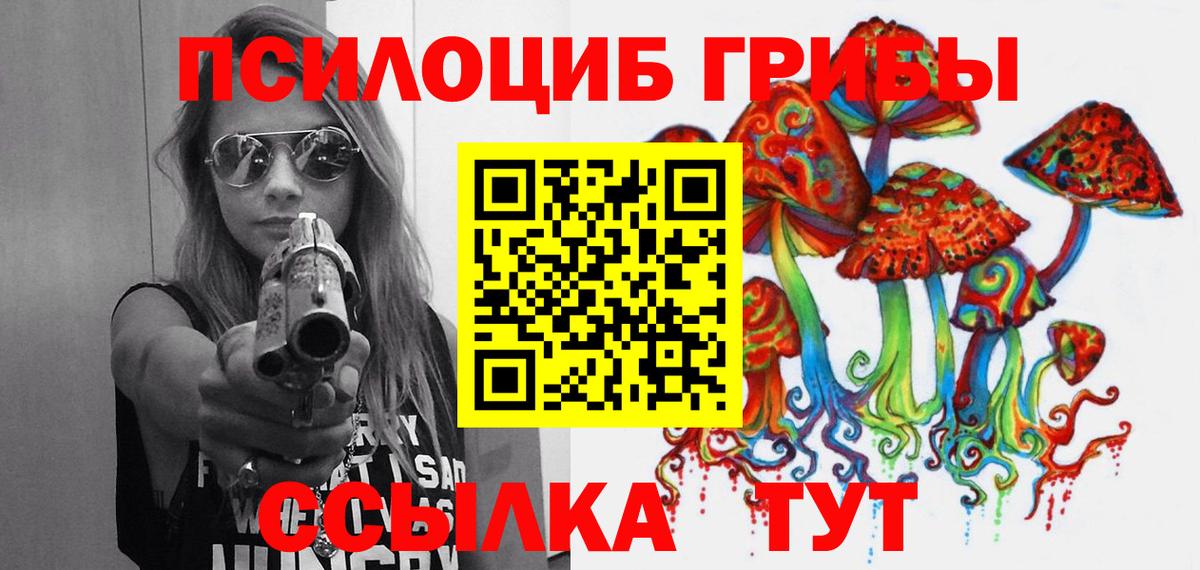 Холмск  Псилоцибиновые грибы MAGIC MUSHROOMS  Галлюциногенные грибы Psilocybe  Вход с VPN 